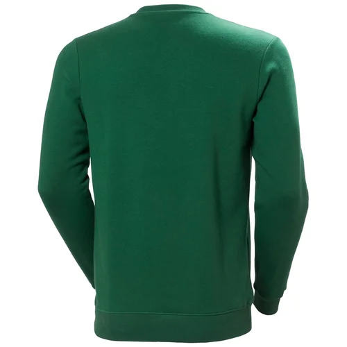 Džemperis HELLY HANSEN Graphic Sweatshirt Žalias 3XL image 2