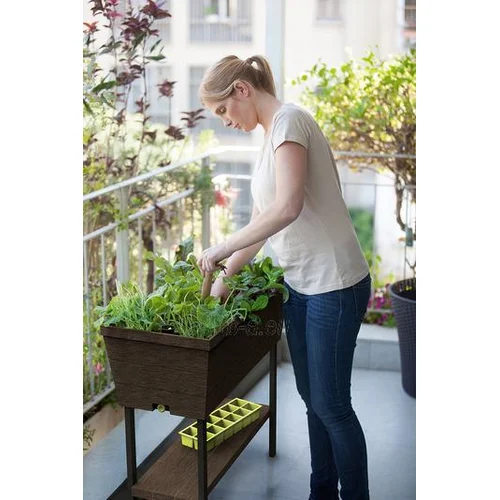 Keter URBAN BLOOMER 233062, Rudas vazonas image 2