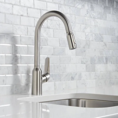 Hansgrohe Focus M42 71800000 virtuvinis maišytuvas Chromo image 1