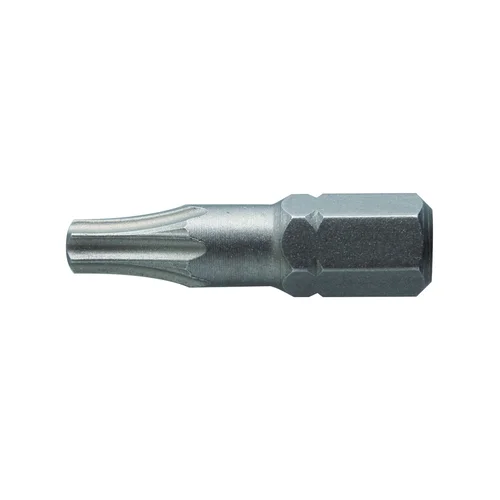 Hogert technik Antgaliai TORX T20, 25 mm, 2 vnt, S2 plieno image 1