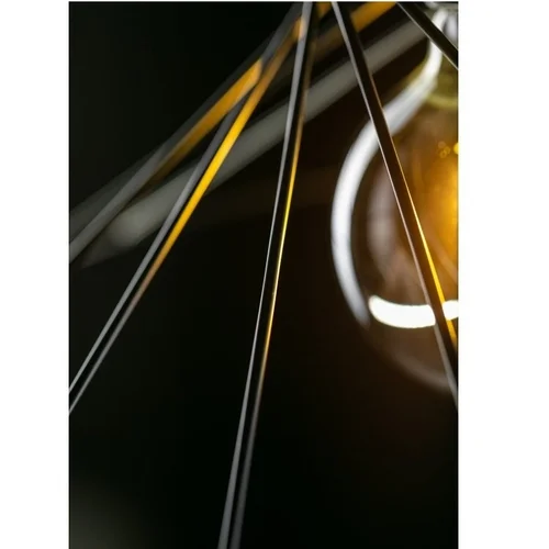 GTV Tilia 7849 Pakabinamas šviestuvas 40 W Juoda image 3