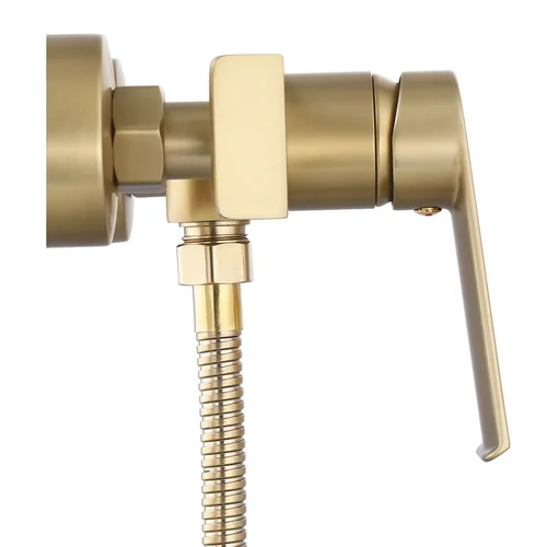 REA Hass Brush Gold, B6403 dušo maišytuvas image 3