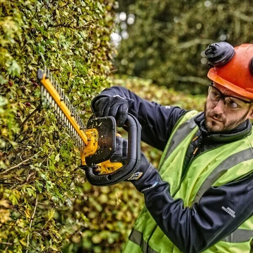 DeWalt DCMHT563P1-QW, 55 cm, 18 V, 1x5Ah image 2