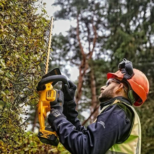 DeWalt DCMHT563P1-QW, 55 cm, 18 V, 1x5Ah image 3