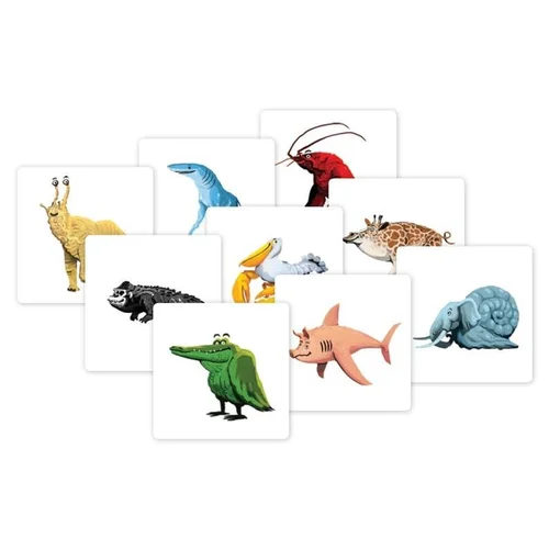 Brain Games Pigasus 2–8 žaidėjų image 3