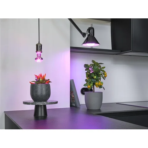 Lemputė Osram LED, E27, 10 W, 330 lm (4058075845787) image 3