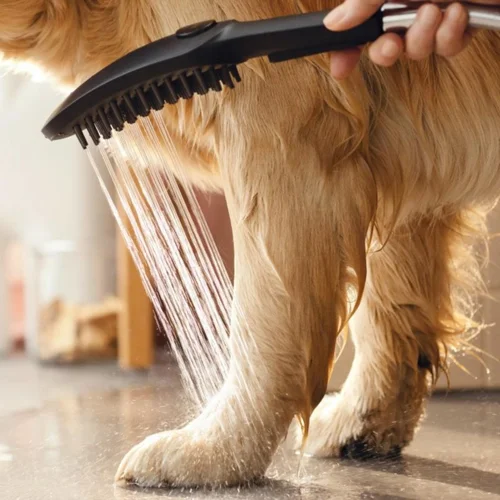 Hansgrohe DogShower 150 dušo galvutė image 3