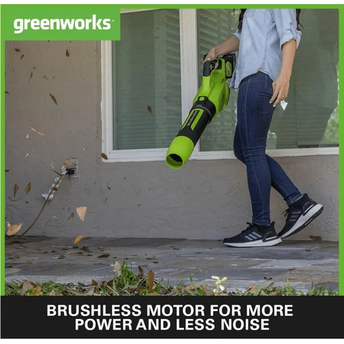GreenWorks GD24X2AB akumuliatorinis lapų pūstuvas, 48V (2x24V) image 3