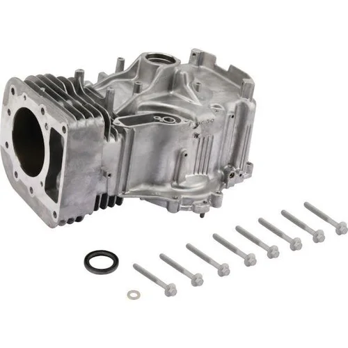 Briggs & Stratton Cilindras 796010 image 2