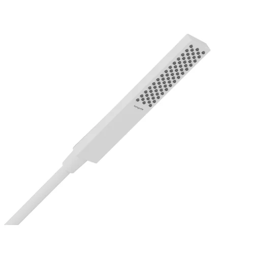 Hansgrohe Pulsify E 100 1jet EcoSmart+ Baltas matinis Rankinis dušas image 1