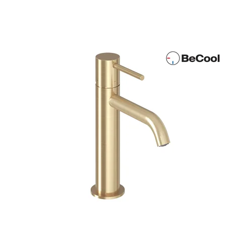 ES 012.61GLB Praustuvo maišytuvas BeCool 190 mm Gold Brushed image 2