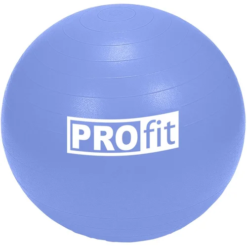 Gimnastikos Kamuolys PROFIT 75cm su Pompa image 1