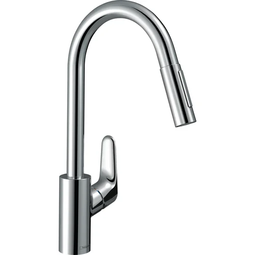 Hansgrohe Focus 240 virtuvinis maišytuvas su ištraukiama žarna - Nerūdijančio plieno atspalvio image 1