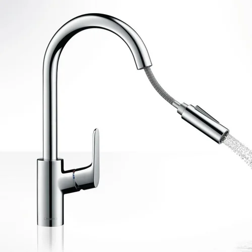 Hansgrohe Focus 240 virtuvinis maišytuvas su ištraukiama žarna - Nerūdijančio plieno atspalvio image 2