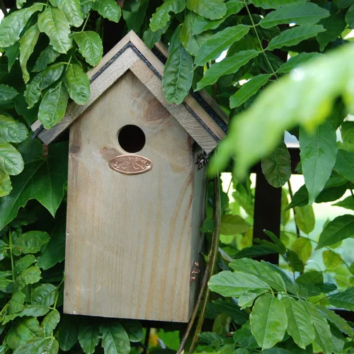 Medinis inkilas paukščiams Zylė, 27 mm anga image 2