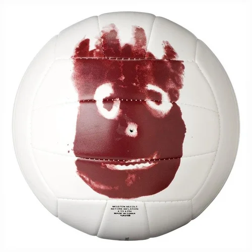 Wilson tinklinio kamuolys Castaway WTH4615X image 1