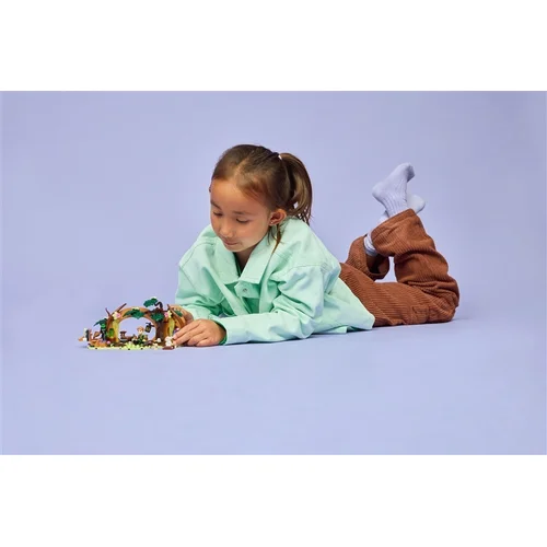 Konstruktorius LEGO® Wicked Elphaba's Retreat 75687, 228 vnt image 3