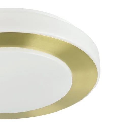 Eglo CARPI plafonas 900369, 10.8 W LED image 2