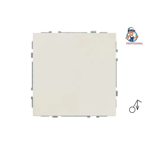 Impulsinis jungiklis LIREGUS MODERN, matinės smėlio spalvos image 1