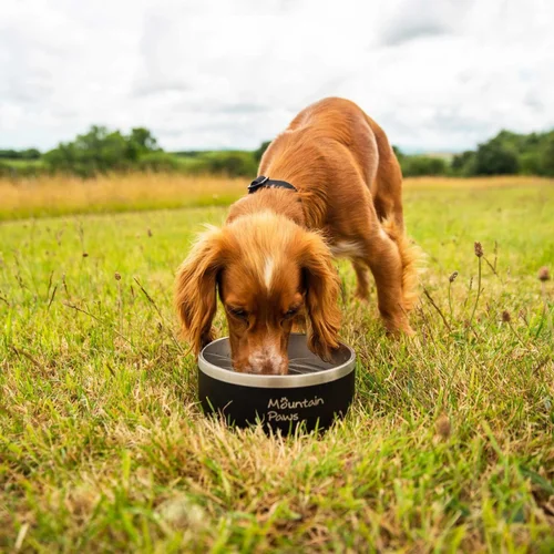 Mountain Paws Basecamp Dog Bowl 1200 ml image 3
