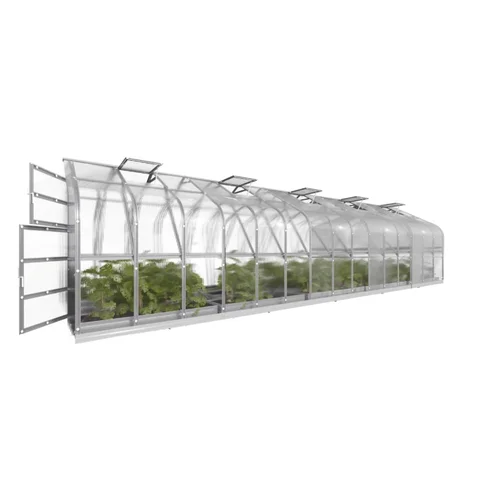 Šiltnamis KLASIKA Standart, 2,5 x 10 m (25 m²), 4 mm image 2