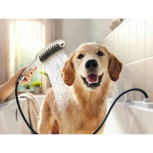Hansgrohe DogShower 150 Dušo galvutė 26640700 Balta matinė image 2