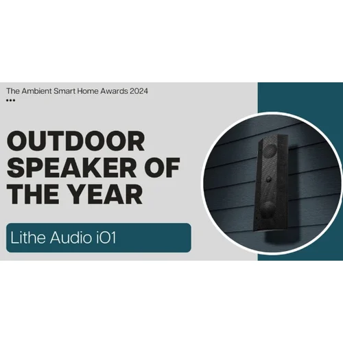 Lithe Audio IO1 Passive Speaker (Single) Juoda image 3