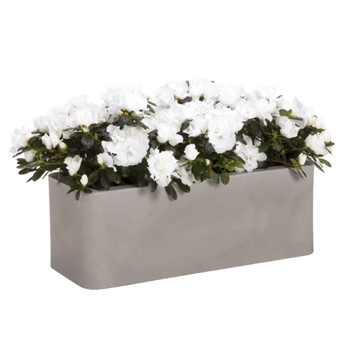 Nicoli Calypso Matt 50x20x18 cm lovelis – Pelenų spalvos image 2