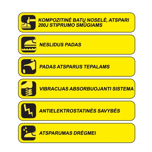 Dedra BH9P4VK-44 Apsauginiai batai, 44 dydis image 2