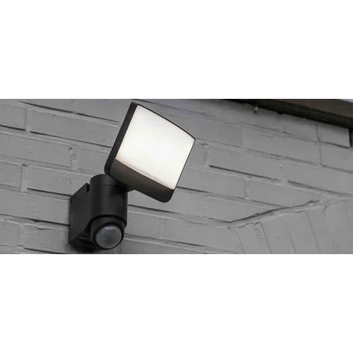 Lutec Lauko Prožektorius 17 W 1200 lm IP44 Pilkas image 2