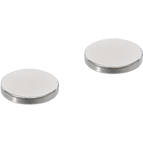 BGS technic 79911 magnetų rinkinys Ø 18 mm, 2 vnt. image 1