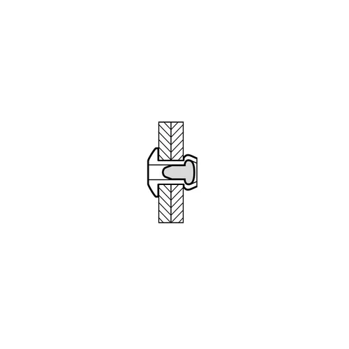 MASTERFIX 1031 5x25 mm kniedės, 1000 vnt. image 2