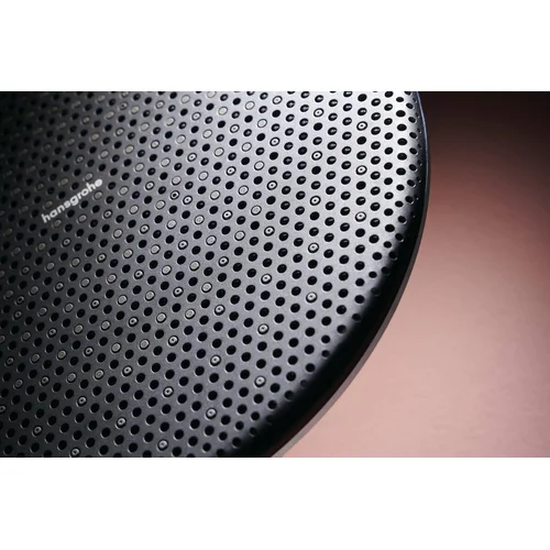 Hansgrohe Raindance Alive S Puro 24593140 300 mm image 3