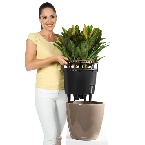 LECHUZA Classico Premium 35 Baltas 16060 image 3