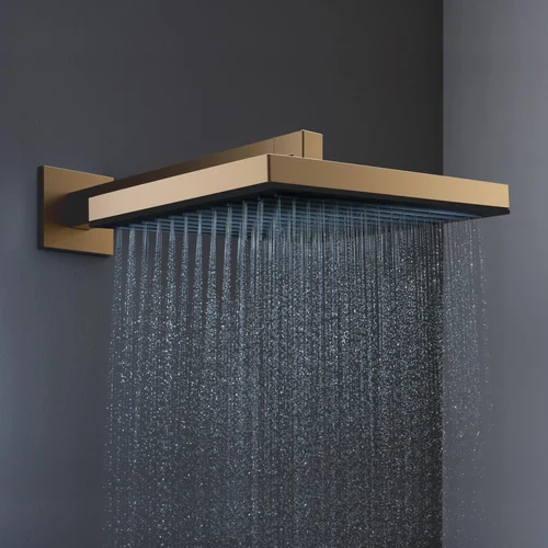 Hansgrohe Pulsify E 24330140 dušo galva, bronza image 3